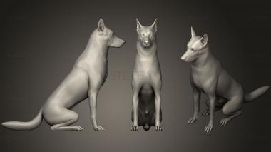 3D model German Shepherd Dog (STL)